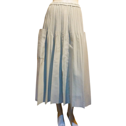 Pleated Flare Skirt with Side Pocket