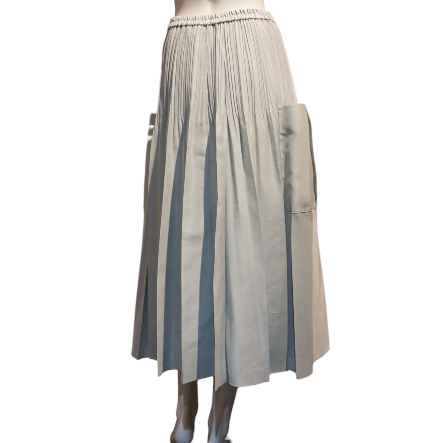 Pleated Flare Skirt with Side Pocket